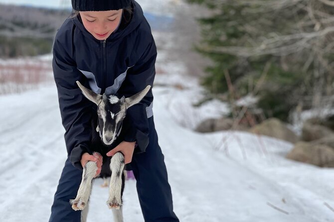 Snowshoeing With Mountain Goats Private Activity - Inclement Weather Arrangements