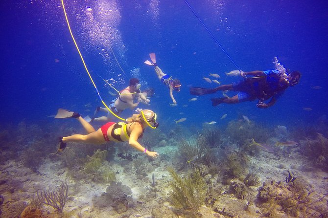 Snuba Adventure at Coral World Ocean Park - Snorkel Gear and Water Shoes