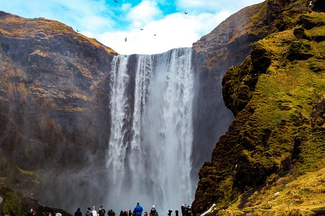 South Coast, Reynisfjara Beach & Waterfalls Small-Group Day Trip From Reykjavik - Tour Details