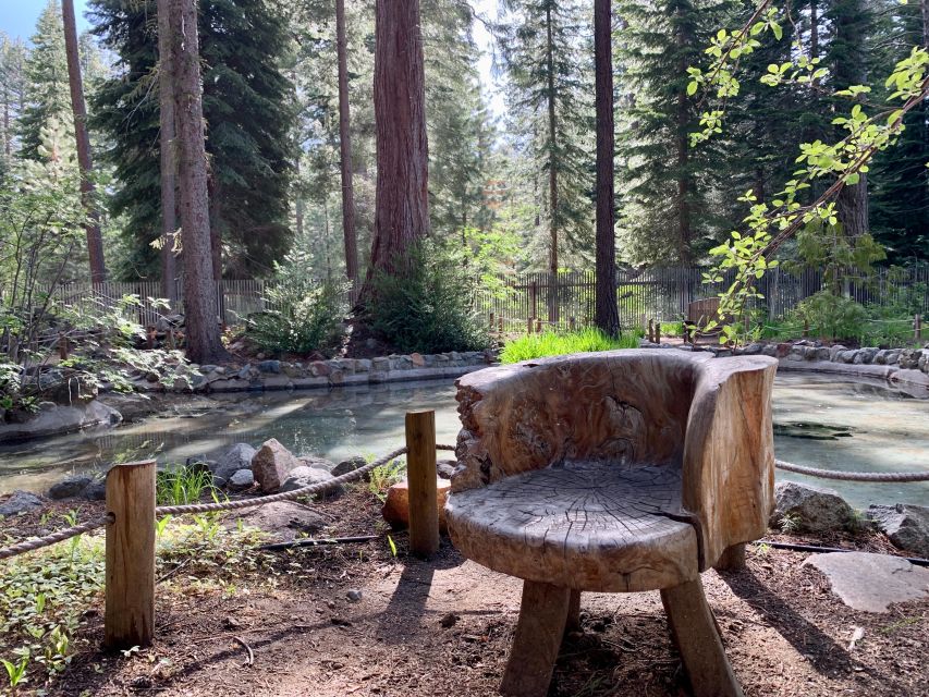 South Lake Tahoe: Tallac Historic Site Grand Estates Tour - Exploring the Baldwin Estate