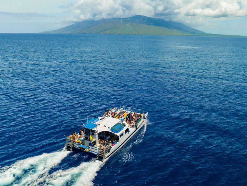 South Maui: Molokini & Turtle Town Snorkeling Tour With Meal - Additional Information