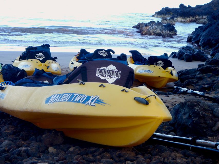 South Maui: Premium Turtle Town Kayak and Snorkel Tour - Activity Benefits