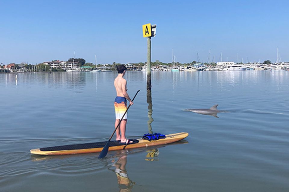 St. Augustine: Dolphin and Manatee Paddle or Kayak Tour - Weather Considerations