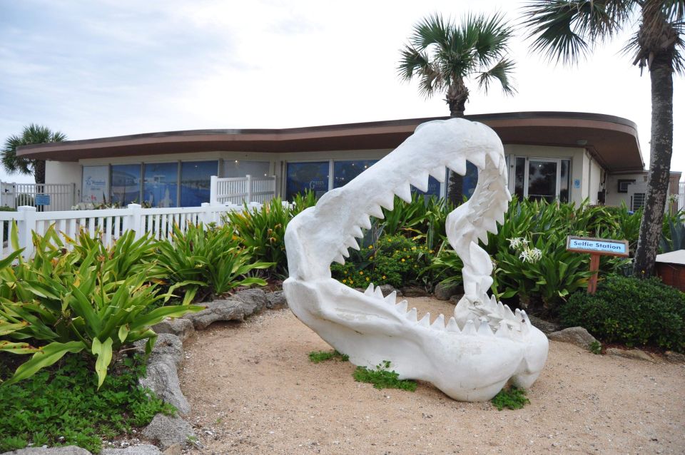 St. Augustine: Marineland Dolphin Meet & Greet - Dolphin Feeding and Care