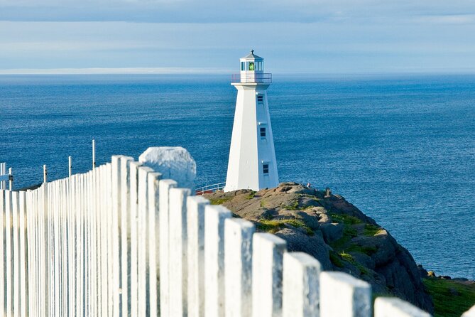 St. Johns, Quidi Vidi Village & Signal Hill Small Group Tour - Additional Tour Information