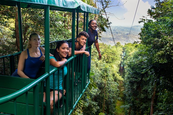 St Lucia Ultimate 3: Aerial Tram, Zipline and Hiking at Rainforest Adventures - Reviews and Ratings