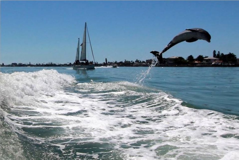 St. Pete Beach: Dolphin Racer Cruise by Speedboat - Inclusions and Exclusions