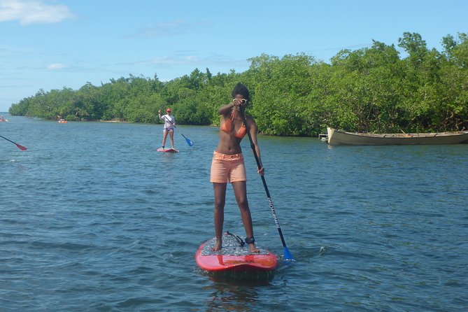 Stand up Paddle in Paradise - Lemonade and Refreshments