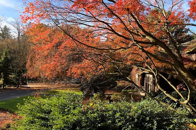 Stanley Park Horse-Drawn Tour - Additional Details