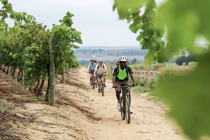 Stellenbosch Half Day Winelands Cycle Tour - Requirements