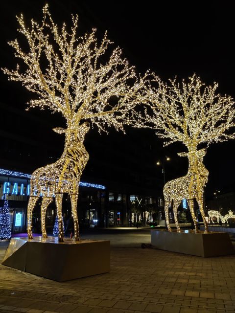 Stockholm: Christmas Lights and Market Walking Tour - Gamla Stan (Old Town)