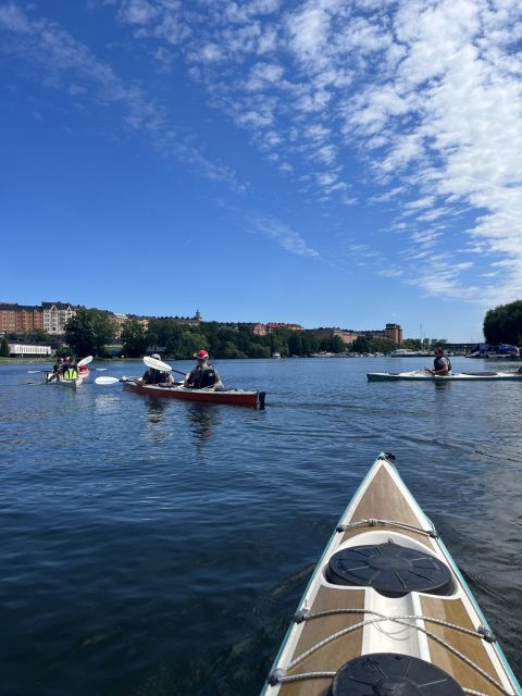 Stockholm: Daytime Kayak Tour in Stockholm City - Inclusions