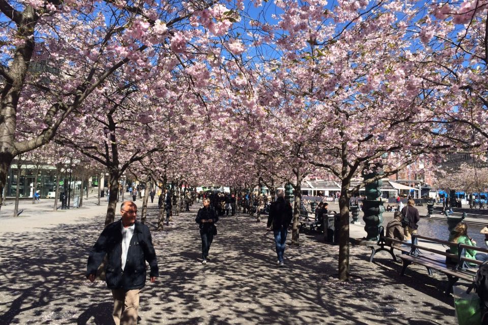 Stockholm: Self-Guided Scavenger Hunt & City Highlights Tour - Visiting the Nobel Museum and Obelisk