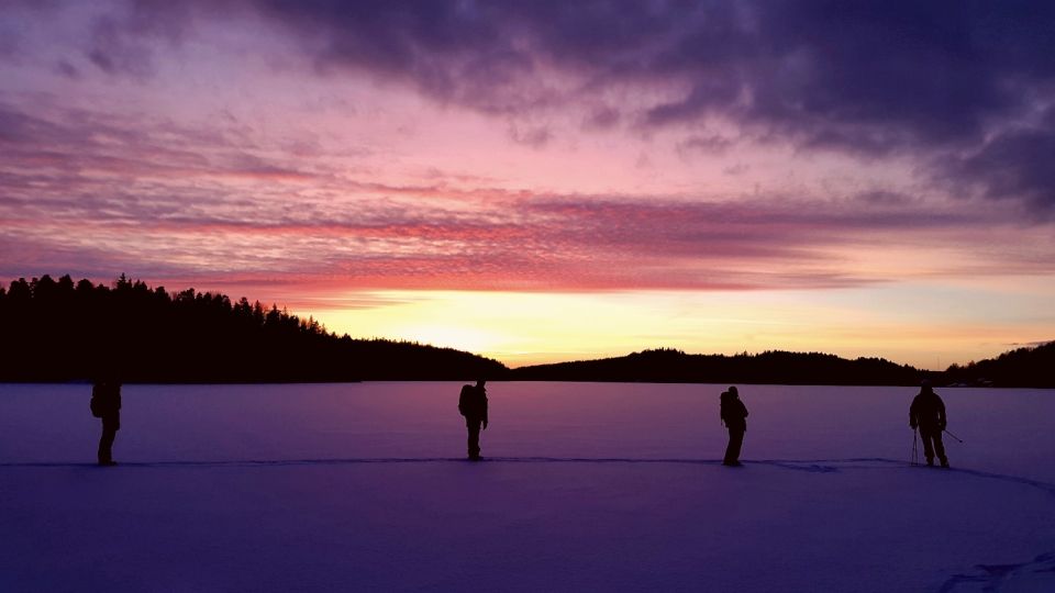 Stockholm: Winter Snowshoe Full-Day Hike - Highlights of the Tour