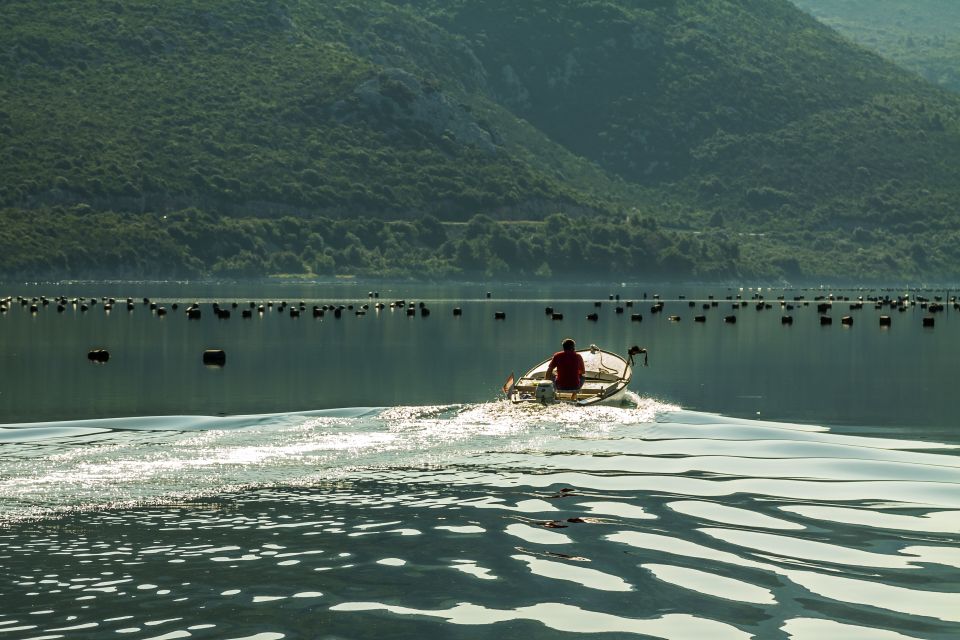 Ston Oyster Tasting Private Tour From Dubrovnik - Inclusions