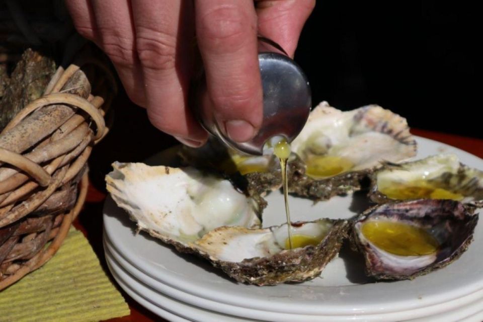 Ston Oysters and Wine Tasting Tour From Dubrovnik - Booking Information