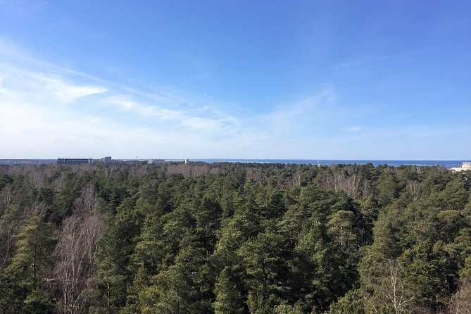 Sunrise at Kemeri National Park + Jurmala - Treetop Tower Optional Visit