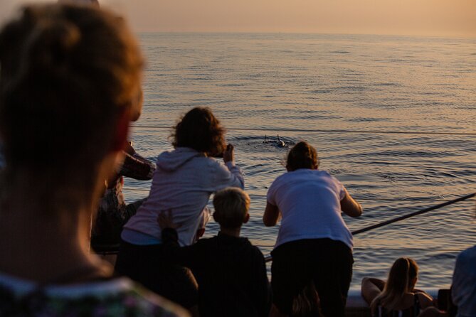 Sunrise Boat Trip in Mallorca With Dolphin-Watching - Itinerary and Timing of the Tour