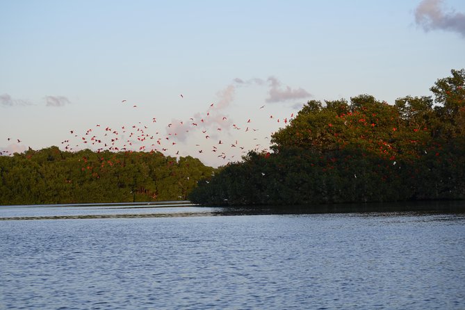 Sunset Boat Tour Into Caroni Wetlands - Arrival and Check-In