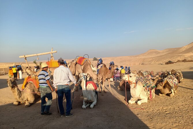 Sunset Camel Ride Agafay Desert Marrakech - Group Size and Cancellation Policy