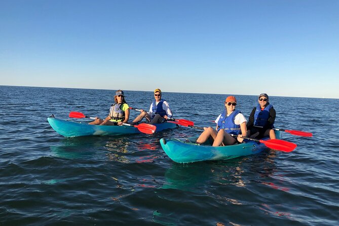 Sunset Dolphin Kayak Tours - Customer Feedback