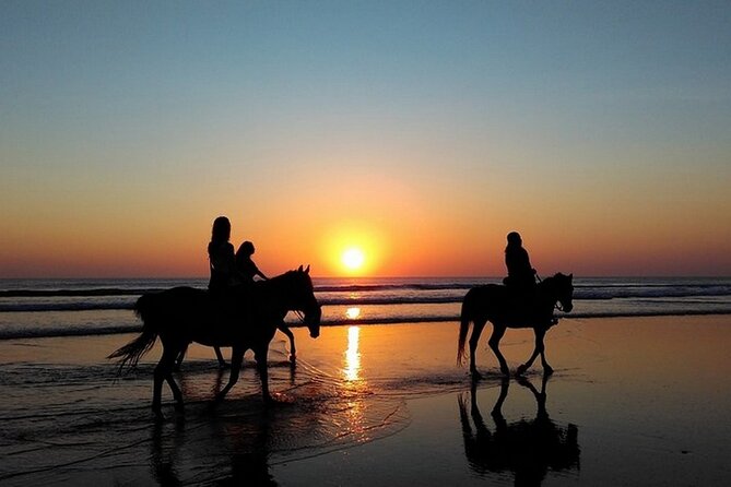 Sunset Horseback Riding in Puerto Plata - Accessibility Considerations