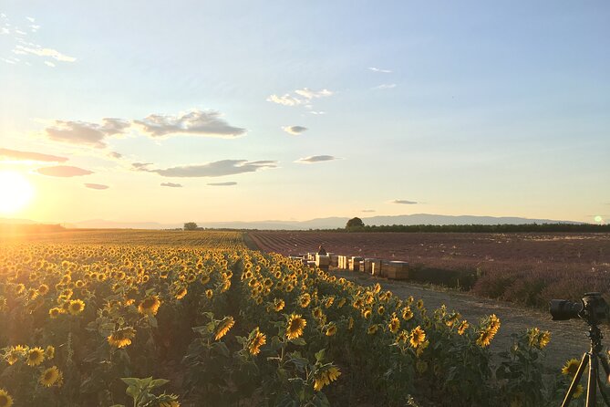 Sunset Lavender Tour From Aix-En-Provence - Cancellation Policy