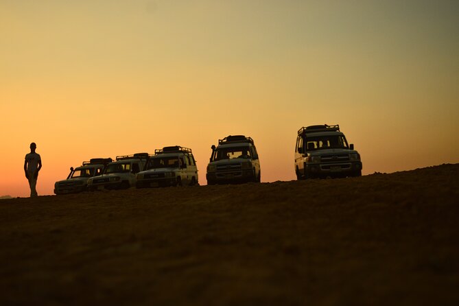 Sunset Safari Trip by Jeep - Sunset Viewing Delight