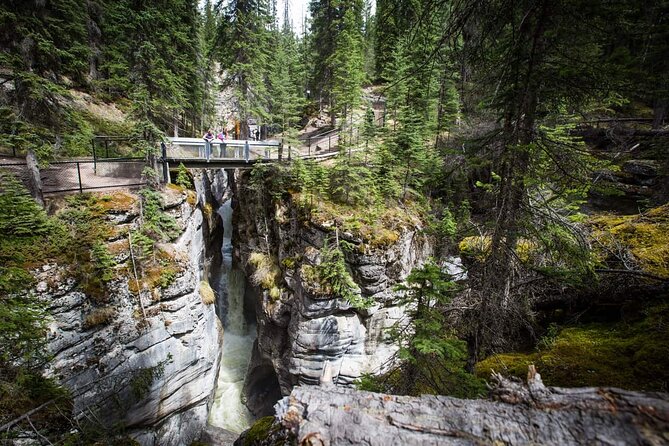 Super Deal! Canadian Rockies Visit Banff, Jasper and Yoho, 5-Days Tour - Accessibility and Group Size