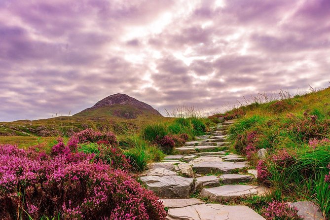 Sustainable Connemara and Galway Bay Rail Tour From Dublin - Accessibility