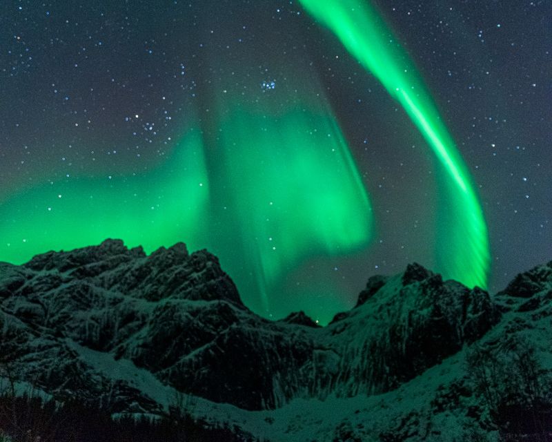 Svolvær's: Lofoten Northern Lights Hunt by Van With Snacks - Important Details to Note