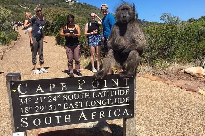 Table Mountain, Cape Point & Penguins Private ,From Cape Town - Transportation and Accessibility