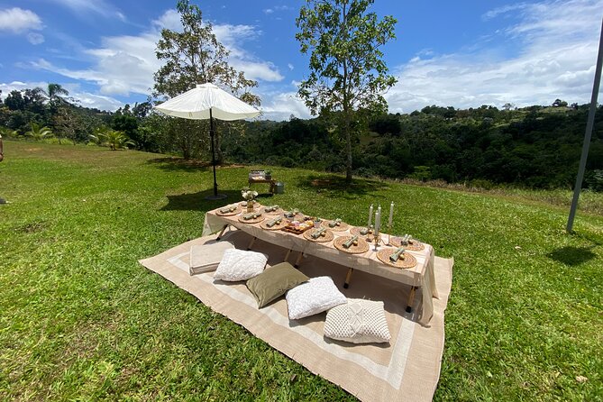 Tailor Made Luxury Picnics - Vida Vistas - Picnic Offerings and Inclusions