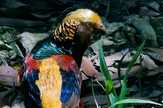 Taíno Valley Tropical Park Puerto Plata Tubagua - Exploring the Vibrant Ecosystem