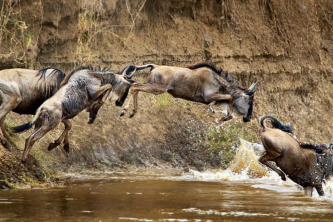 Take Me to Tarangire and Ngorongoro -3 Days - Lake Manyara National Park