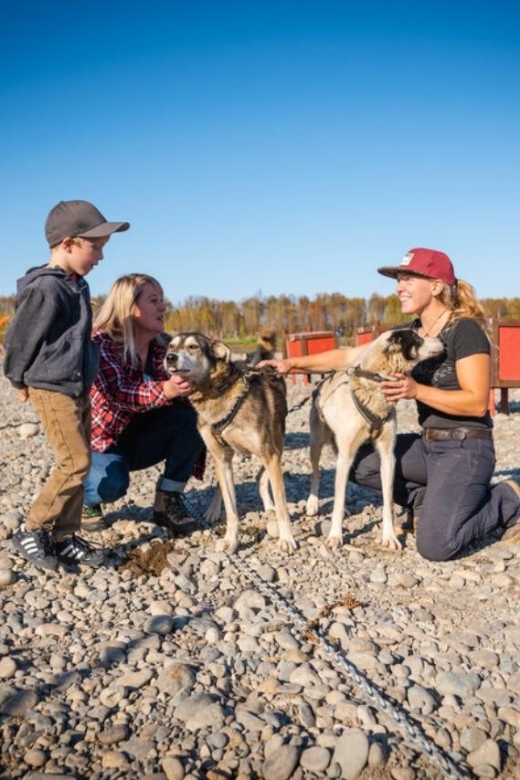 Talkeetna: Mushing Experience With Iditarod Champion Dogs - 45-Minute Wilderness Mush