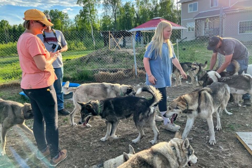 Talkeetna: Summer Sled Dog Kennel Tour - Frequently Asked Questions