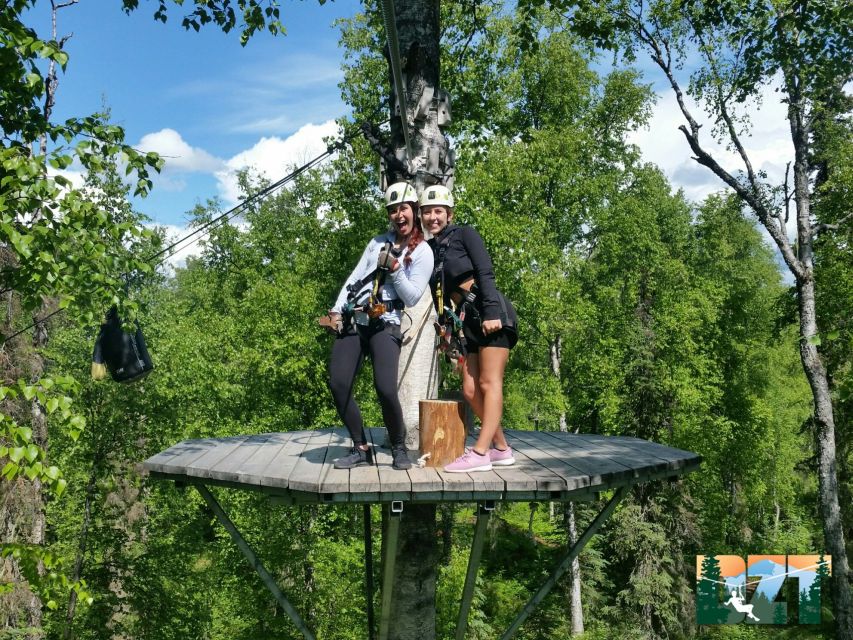 Talkeetna: Zipline Tour - Discovering Alaskas Flora and Fauna