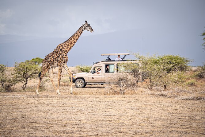 Tanzania Enticing Explorations - 6 Days - Cancellation Policy