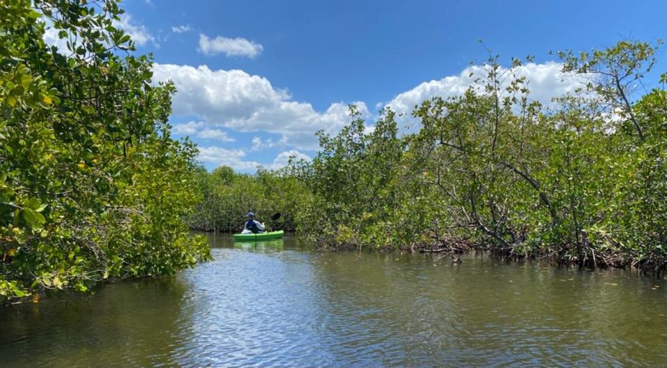 Tarpon Springs: Guided Anclote River Kayaking Tour - Included in the Tour