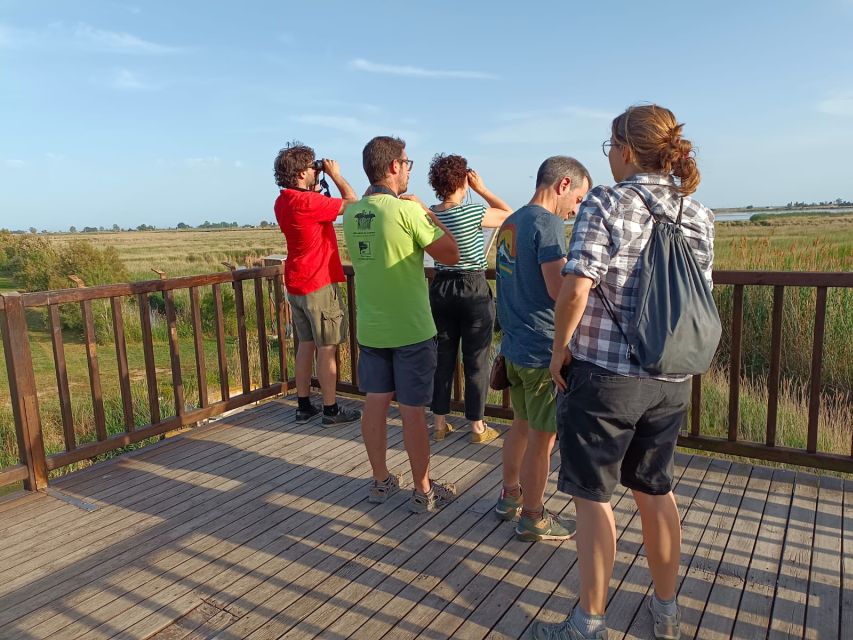 Tarragona: Southern Delta Birdwatching Private Tour - Diverse Landscapes and Wildlife