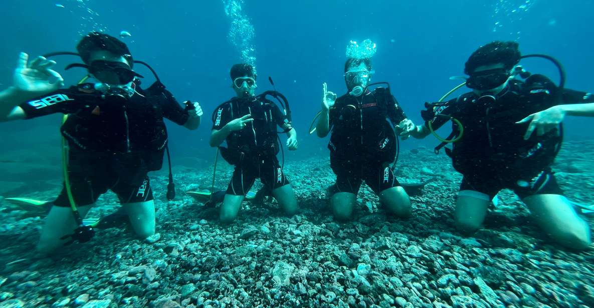 Tenerife : Diving License in One Day - Diving License Achievements