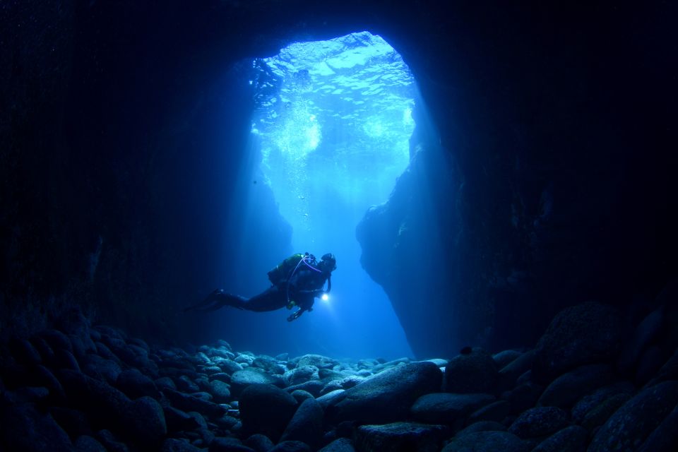 Tenerife: Full-Day The Best Dives for Certified Divers - Volcanic Rock Formations