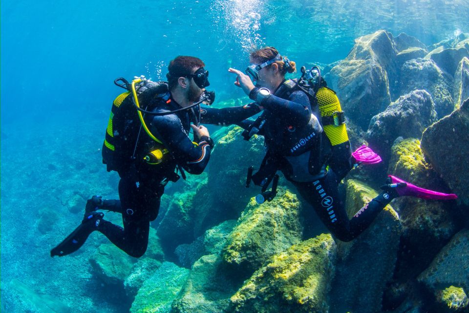 Tenerife: Introductory Dive for Cruise Ship Passengers - Target Audience