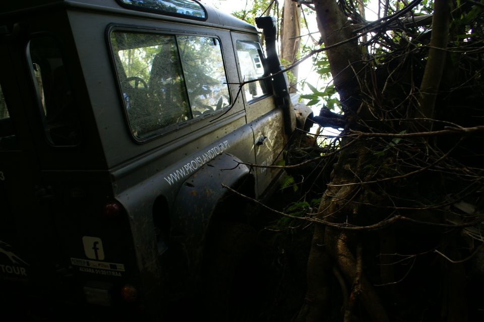 Terceira Island: Full-Day Mud Adventure & Traditional Lunch - Outdoor Lunch of Traditional Fare