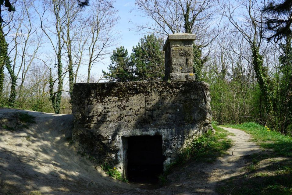 The Battle of the Chemin Des Dames, Departure From Laon - Historical Context