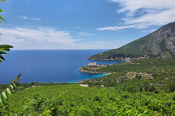 The Exquisite Flavors of Peljesac, Private Wine Tasting Trip - Small Group Trip Details