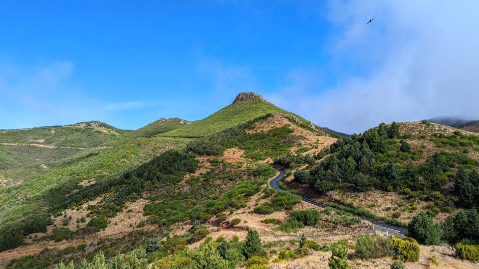 The Fabulous Pico Do Arieiro in 4h: Immersive Experience - Funchal Ecological Park