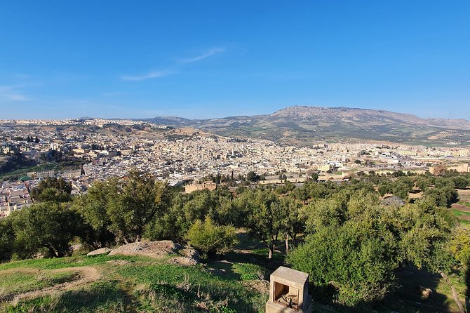 The Map Is Not the Territory, Discover Fez With a Local - Meeting Point at Bab Recif