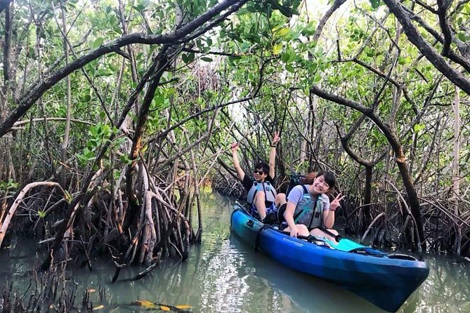 Thousand Island Mangrove Tunnel, Manatee & Dolphin Kayak Tour W/Cocoa Kayaking - Guest Experiences